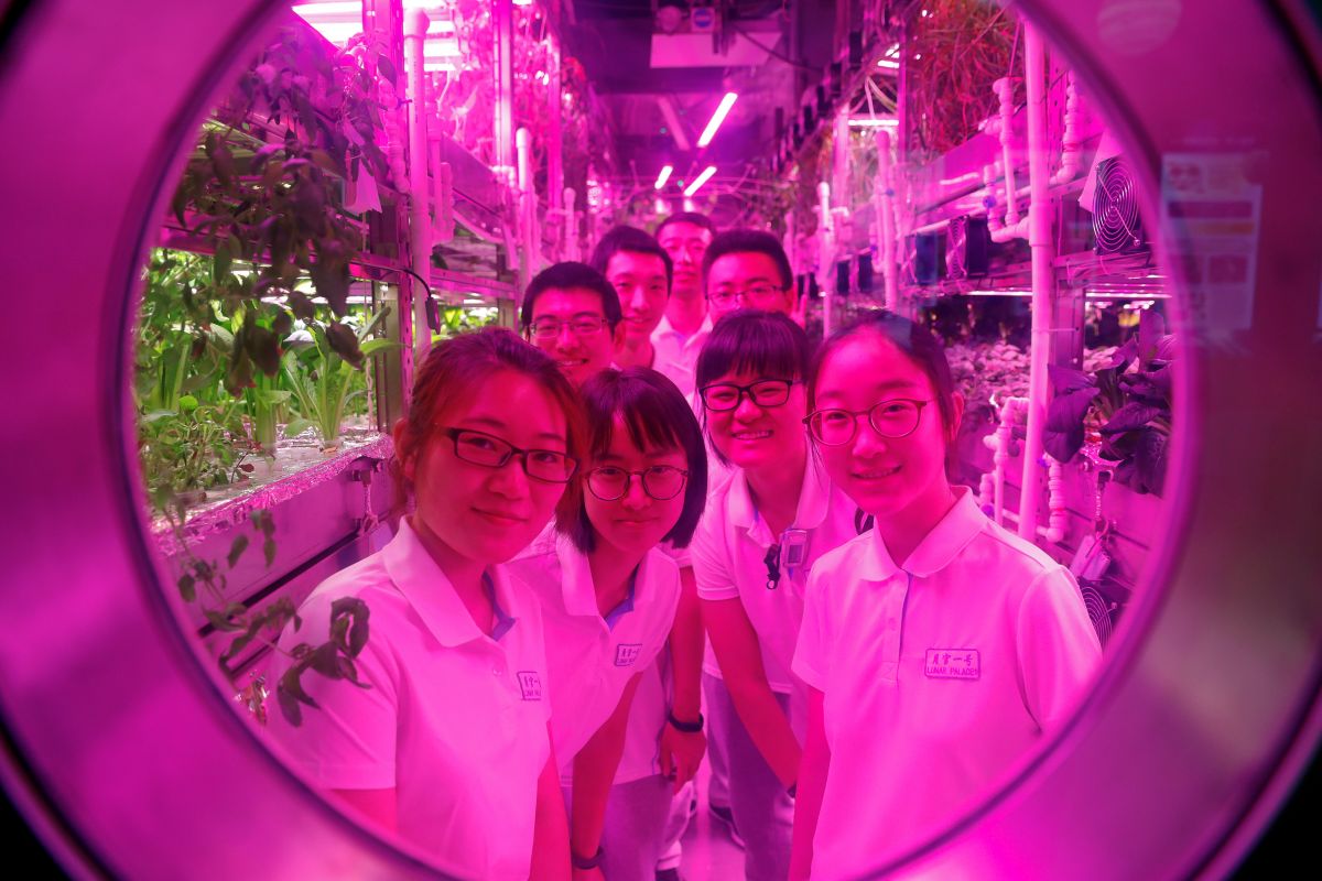 4名中国学生被密封在模拟太空舱中，测试自我维持的生态系统